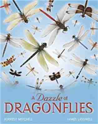 Forrest L. Mitchell, James L. Lasswell - Dazzle of Dragonflies, Inbunden