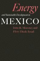 bokomslag Energy and Sustainable Development in Mexico