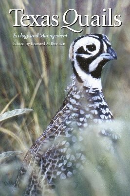 bokomslag Texas Quails