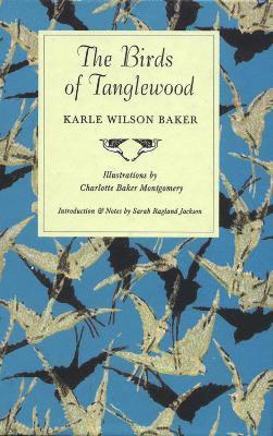 bokomslag Birds of Tanglewood