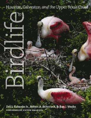 bokomslag Birdlife of Houston, Galveston, and the Upper Texas Coast