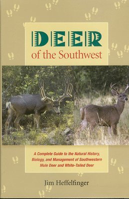 Deer of the Southwest 1