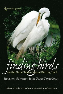 bokomslag Finding Birds on the Great Texas Coastal Birding Trail