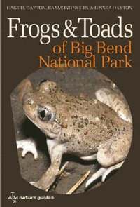 bokomslag Frogs and Toads of Big Bend National Park