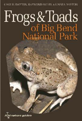 bokomslag Frogs and Toads of Big Bend National Park