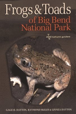 bokomslag Frogs and Toads of Big Bend National Park