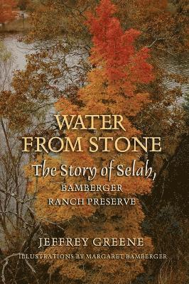 Jeffrey Greene - Water from Stone, Inbunden