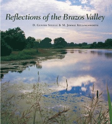 bokomslag Reflections of the Brazos Valley