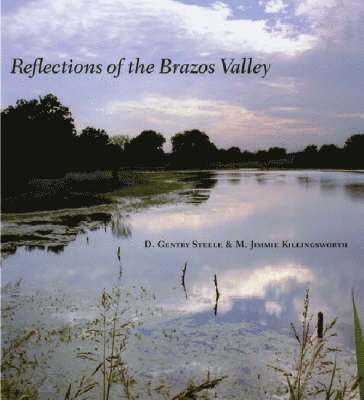Reflections of the Brazos Valley 1
