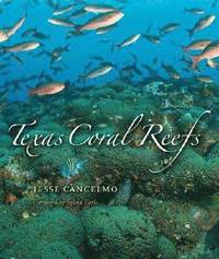 bokomslag Texas Coral Reefs