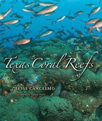 bokomslag Texas Coral Reefs