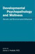 bokomslag Developmental Psychopathology and Wellness
