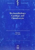 Mechanobiology: Cartilage and Chondrocyte