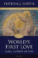 bokomslag World's First Love