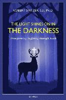 bokomslag The Light Shines on in the Darkness: Transforming Suffering Through Faith