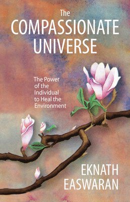 bokomslag Compassionate Universe