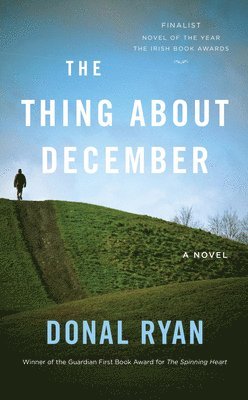 Donal Ryan - The Thing about December, Häftad