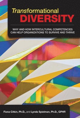 bokomslag Transformational Diversity