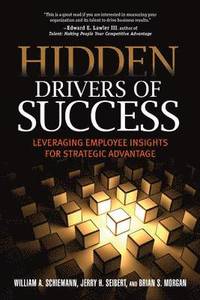 bokomslag Hidden Drivers of Success