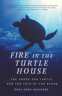 bokomslag Fire In The Turtle House
