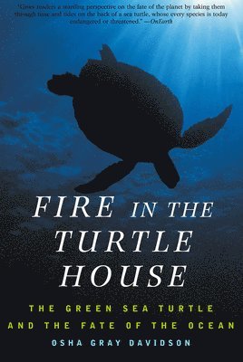 bokomslag Fire In The Turtle House