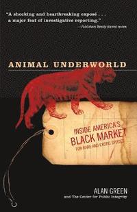 bokomslag Animal Underworld