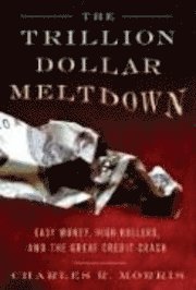 bokomslag The Trillion Dollar Meltdown