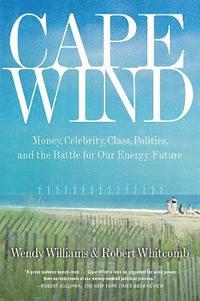bokomslag Cape Wind