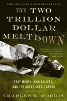 bokomslag The Two Trillion Dollar Meltdown