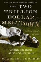 bokomslag Two Trillion Dollar Meltdown