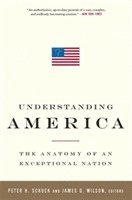 bokomslag Understanding America