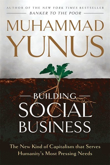Building Social Business