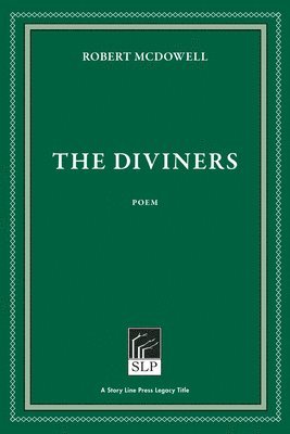 bokomslag Diviners