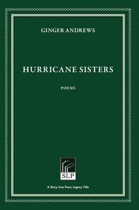 bokomslag Hurricane Sisters