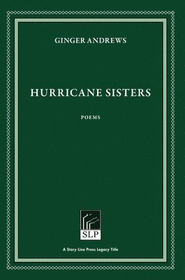 bokomslag Hurricane Sisters