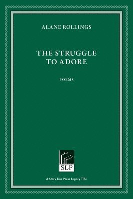 bokomslag Struggle to Adore