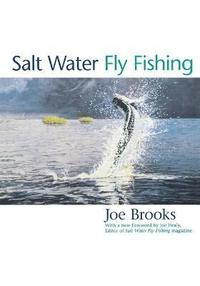 bokomslag Salt Water Fly Fishing