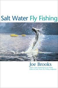 bokomslag Salt Water Fly Fishing