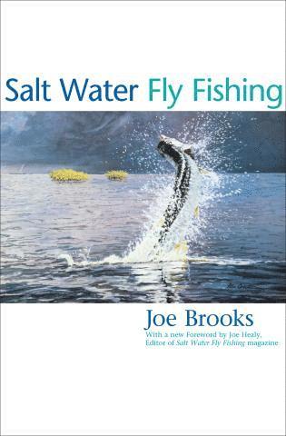 Joe Brooks - Salt Water Fly Fishing, Häftad