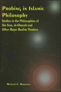 bokomslag Probing in Islamic Philosophy
