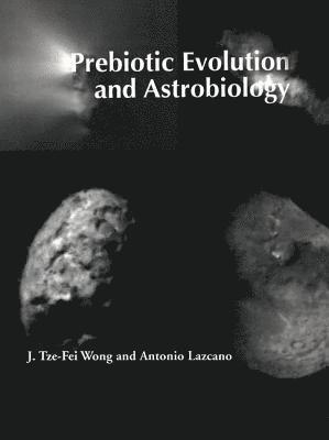 bokomslag Prebiotic Evolution and Astrobiology