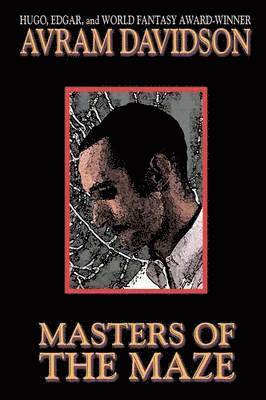 Masters of the Maze 1