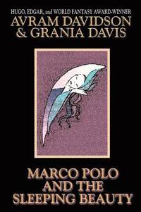 bokomslag Marco Polo and the Sleeping Beauty