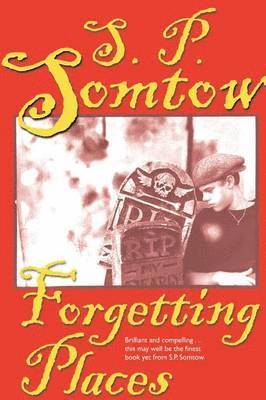 S P Somtow, S. P. Somtow - Forgetting Places, Häftad