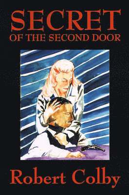 bokomslag Secret of the Second Door