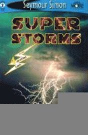 bokomslag Super Storms