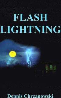 bokomslag Flash Lightning