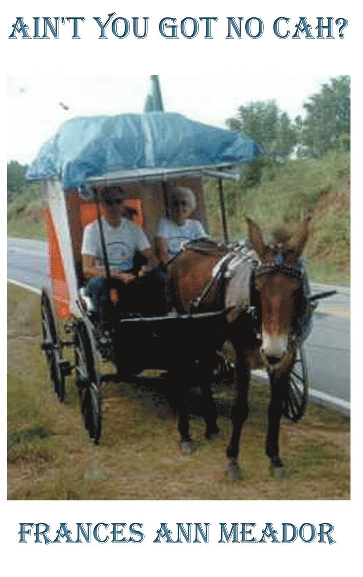 Frances Ann Meador - Ain't You Got No Cah?, Inbunden