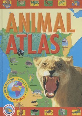 bokomslag Animal Atlas