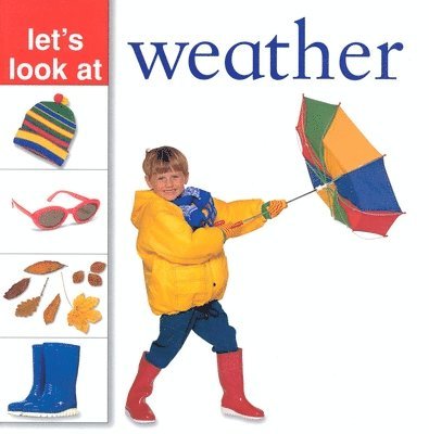 Andrew Haslam - Weather, Häftad